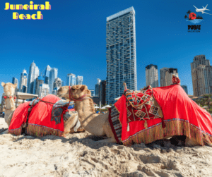 Jumeirah Beach DUBAI 1